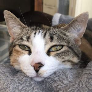 Meet your Posher, Brooklyn